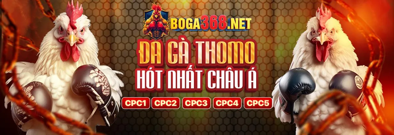Đá Gà Trực Tuyến mb666 app